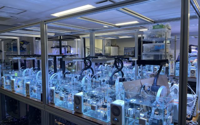 サンゴを育てる実験用の水槽が並ぶ様子