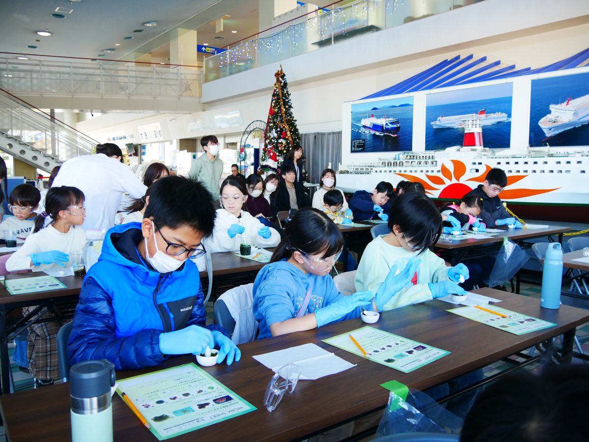 海藻の実験に取り組む子どもたち
